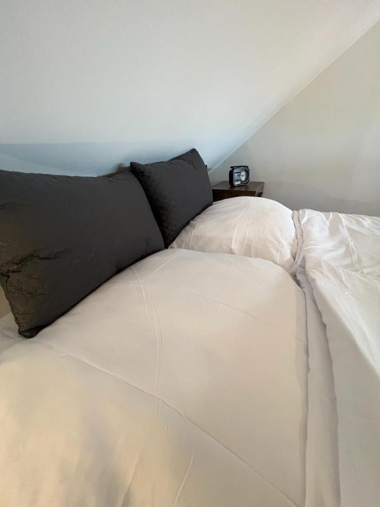 Unique Oldtown / Loft Appartamento Norimberga